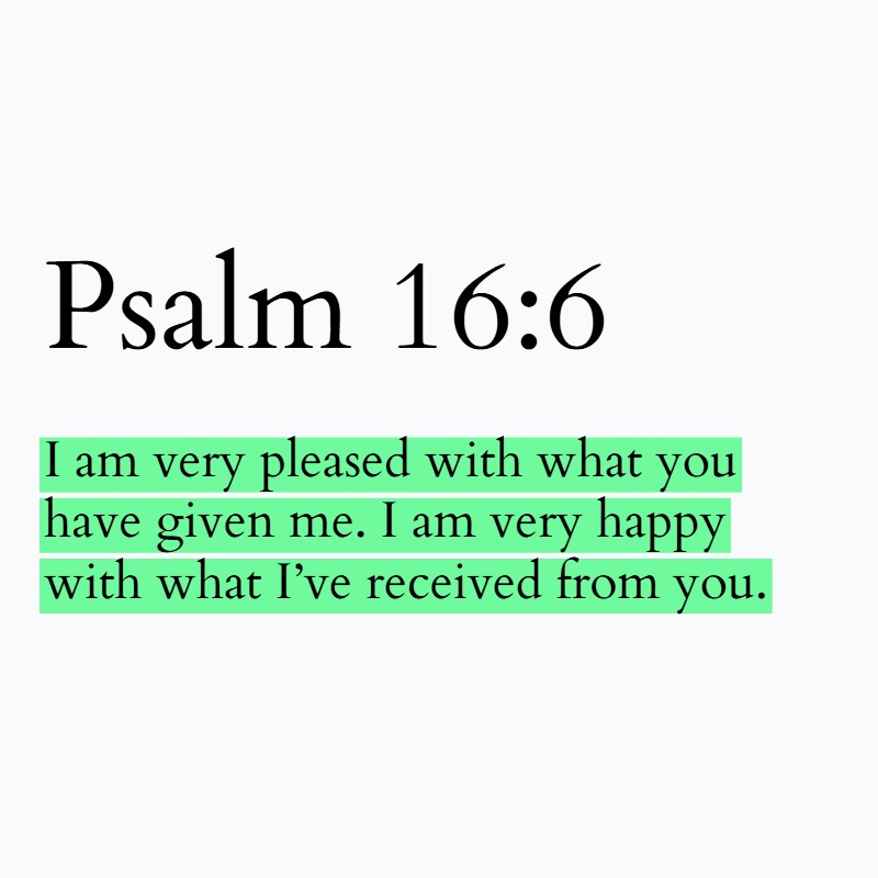 Holy Bible tweet media