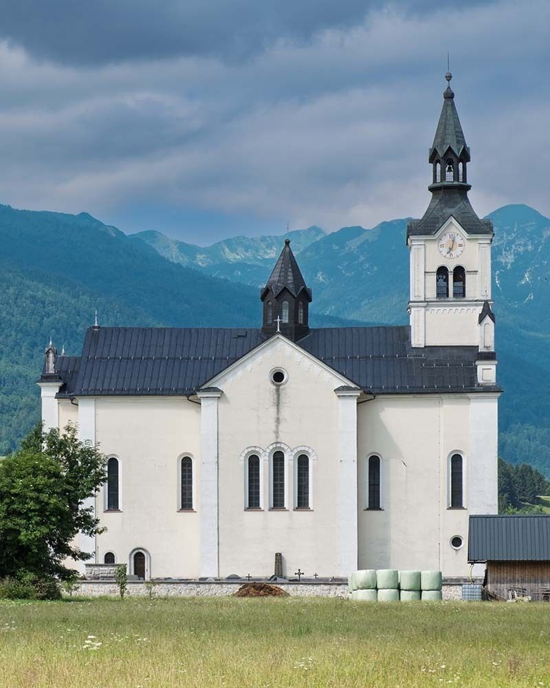 Judi Saunders tweet media