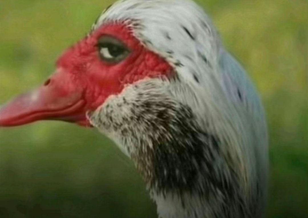 Lord Beer tweet media