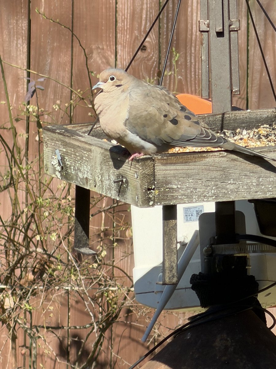 stanley lines tweet media