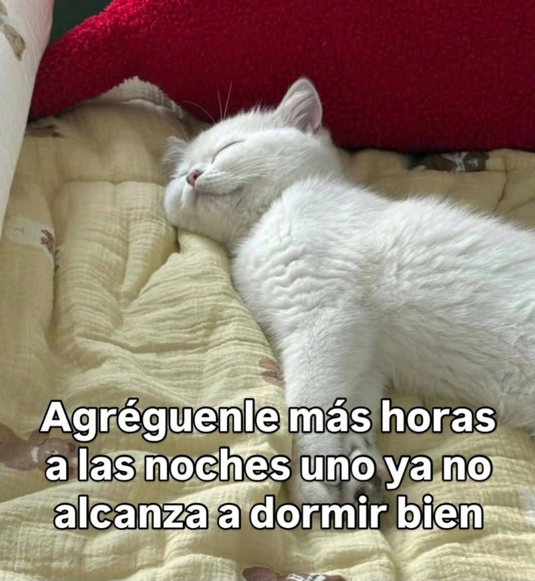 En Júpiter (@en_jupiter_) on Twitter photo 