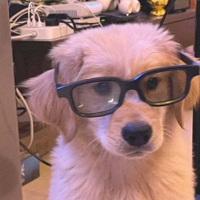 ᵀᵗ· tweet media