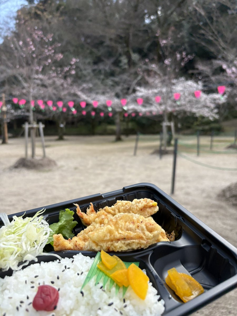 まめ吉 @女将 tweet media