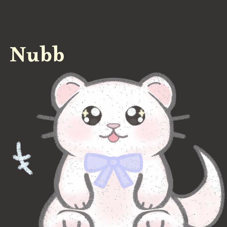 ᥣׁׅ֪ꪱׁׅꪀׁׅꪀׁׅɑׁׅ֮ tweet media