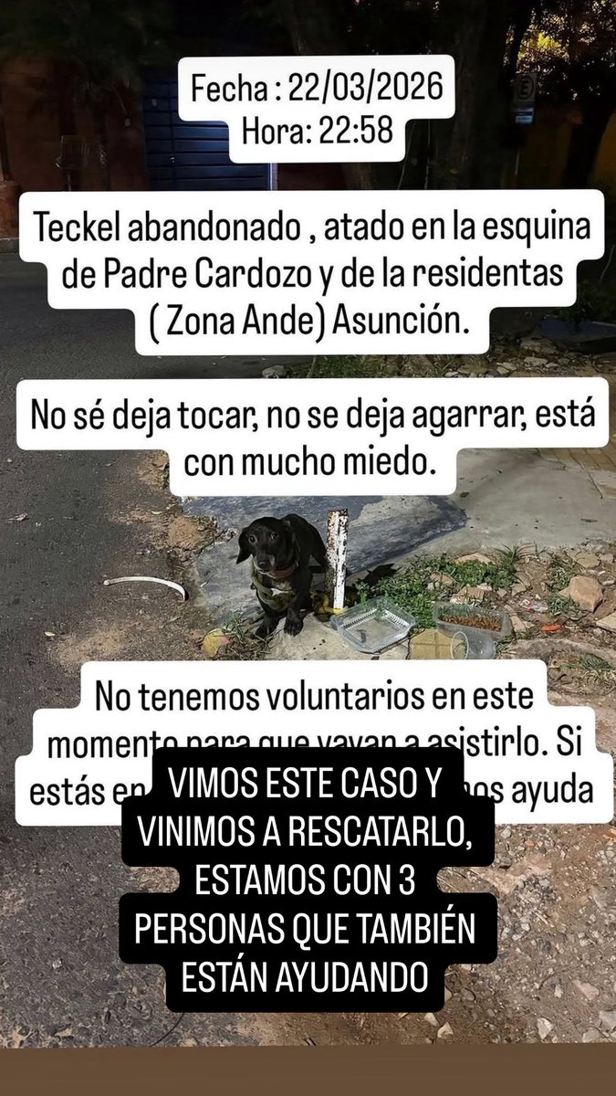 Abandonaron a un perrito cerca del Inter, le dejaron atado sobre el cartel de la calle. Lo rescatamos y ya está en Nantes internado. Estaba bastante agresivo del susto, la cuenta al momento asciende a Gs. 720.000, y va a seguir creciendo. Llamamos al apoyo de todos para recaudar