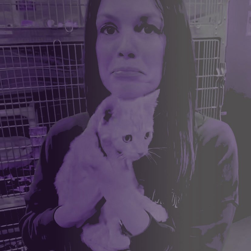 𝐝𝐫. 𝐩𝐨𝐥𝐥𝐲 𝐩𝐨𝐜𝐤𝐞𝐭 ⋆.˚ ⚕ tweet media