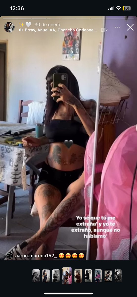 patagonianseeker tweet media