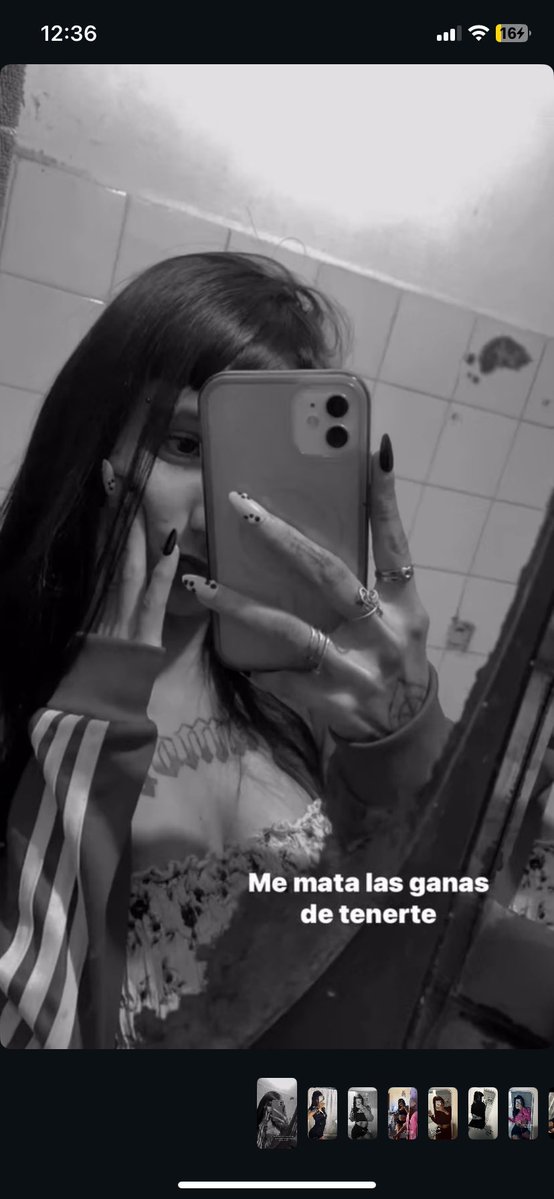 patagonianseeker tweet media