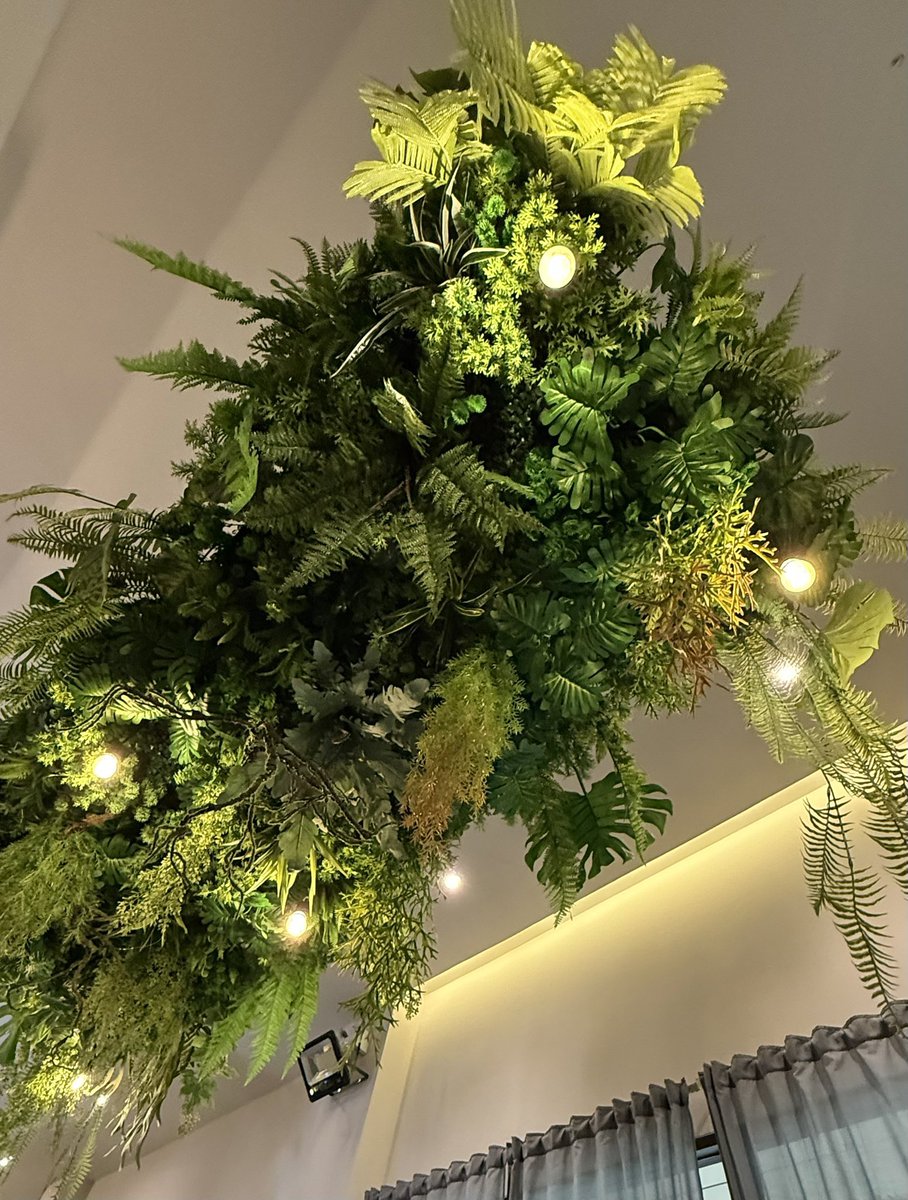 อิฉันเองค่ะ 🌷 𝐍𝐢𝐤𝐚" 💫 tweet media