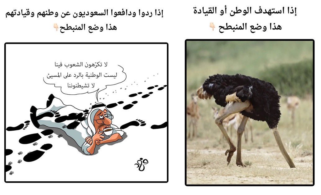 راجح الشهري tweet media