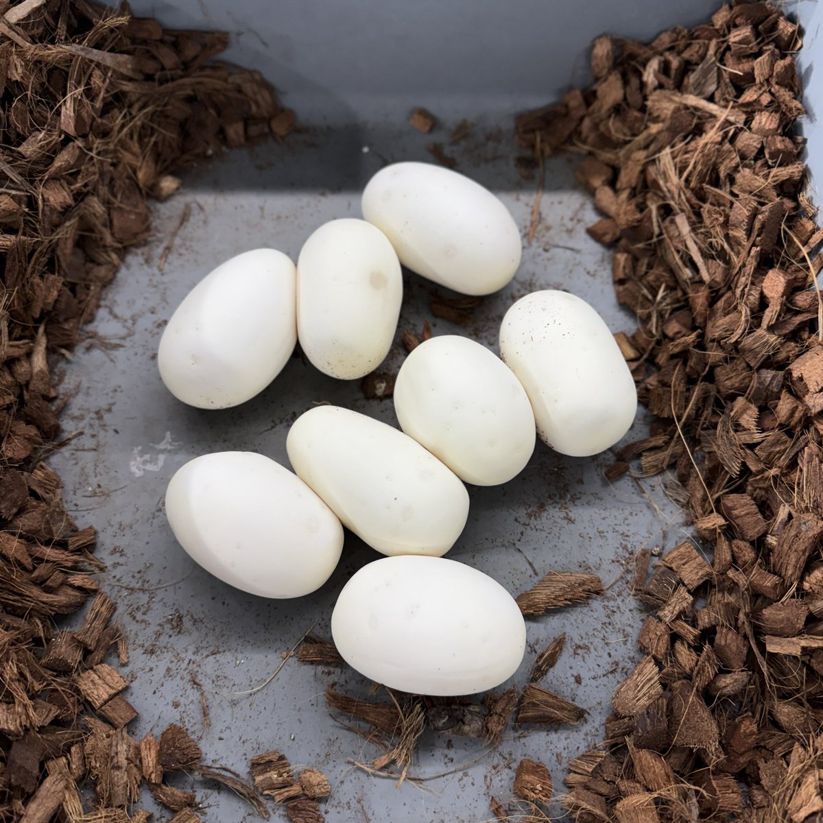 Fabulous_Park tweet media