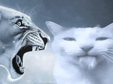 andrés. tweet media