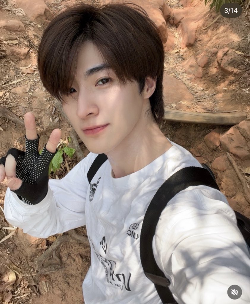 ` 마 크 잭 슨 . tweet media