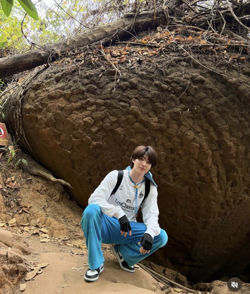 ` 마 크 잭 슨 . tweet media