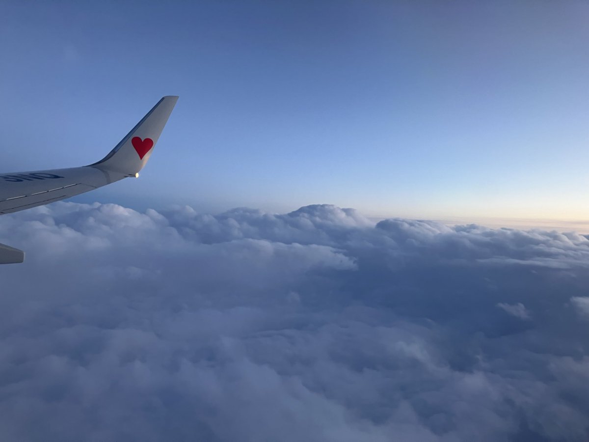 Ydor イードル株式会社｜ロボット/自動化 tweet media