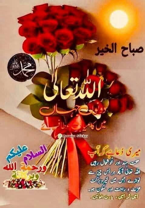 PakistanPulse tweet media