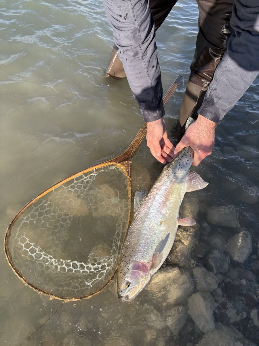 RHenry 🇺🇸 tweet media