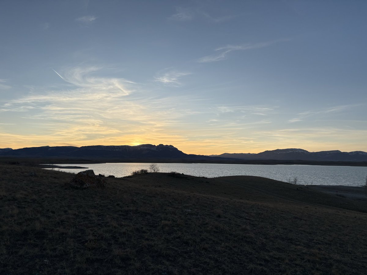 RHenry 🇺🇸 tweet media