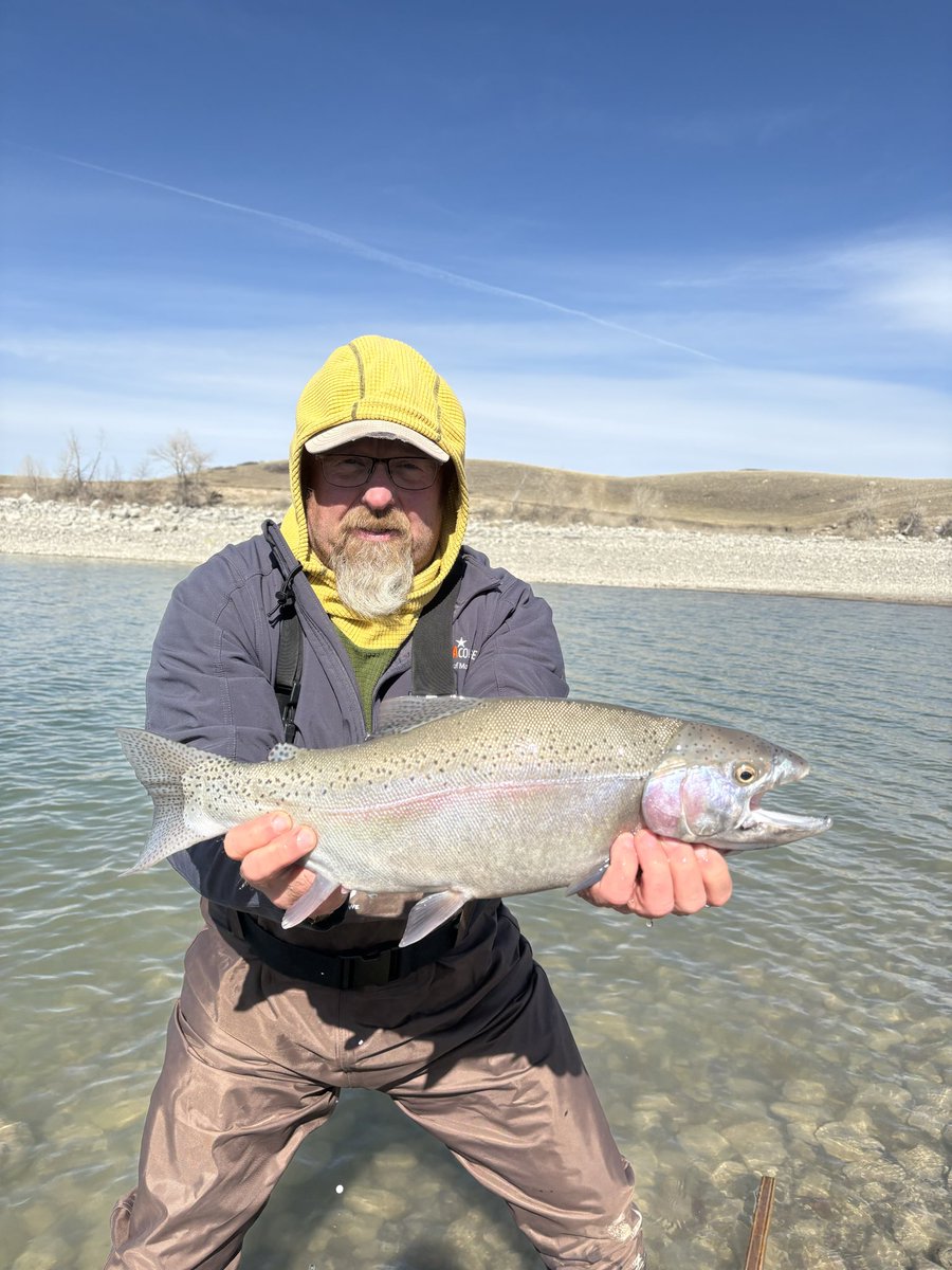 RHenry 🇺🇸 tweet media