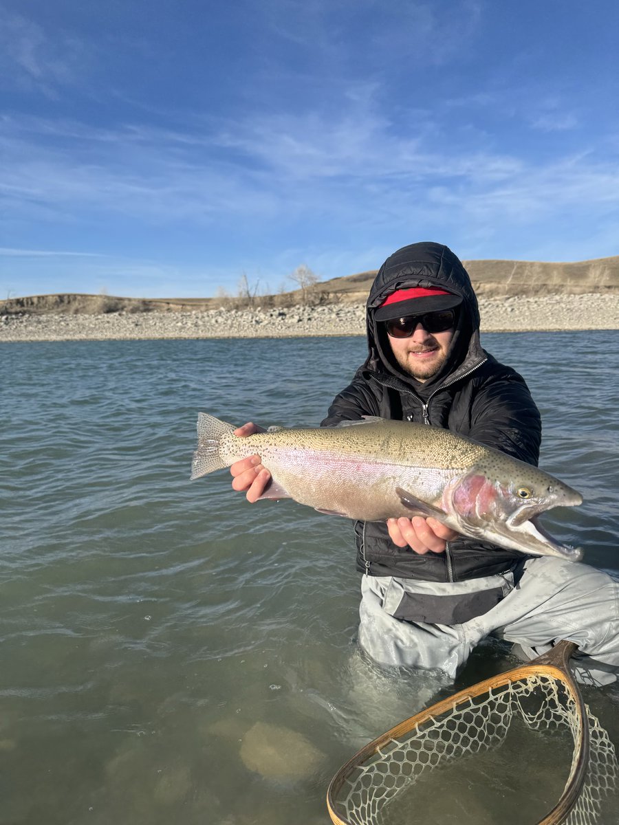 RHenry 🇺🇸 tweet media