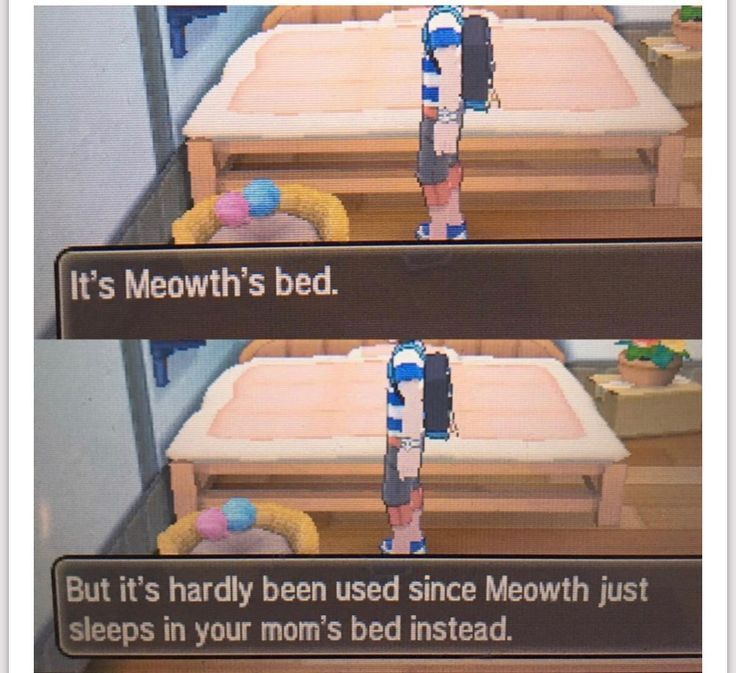 Pokémon Posts tweet media