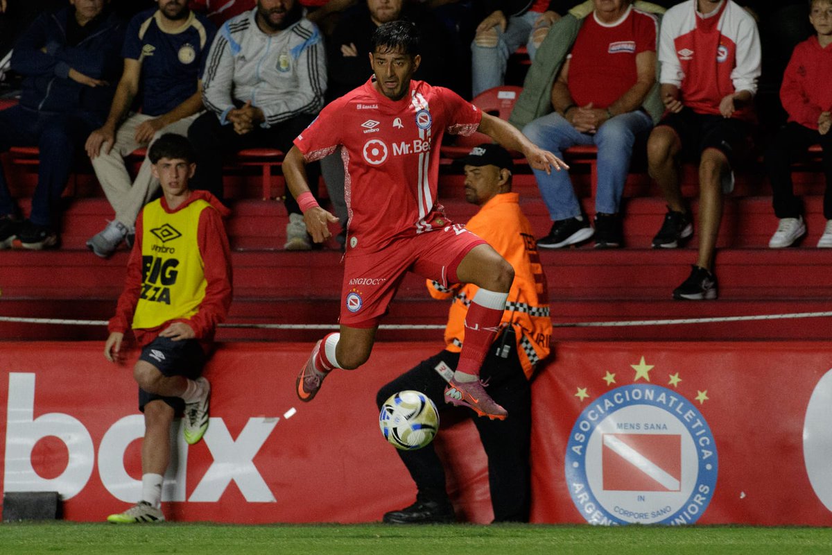 Davi 🐞🧣 tweet media