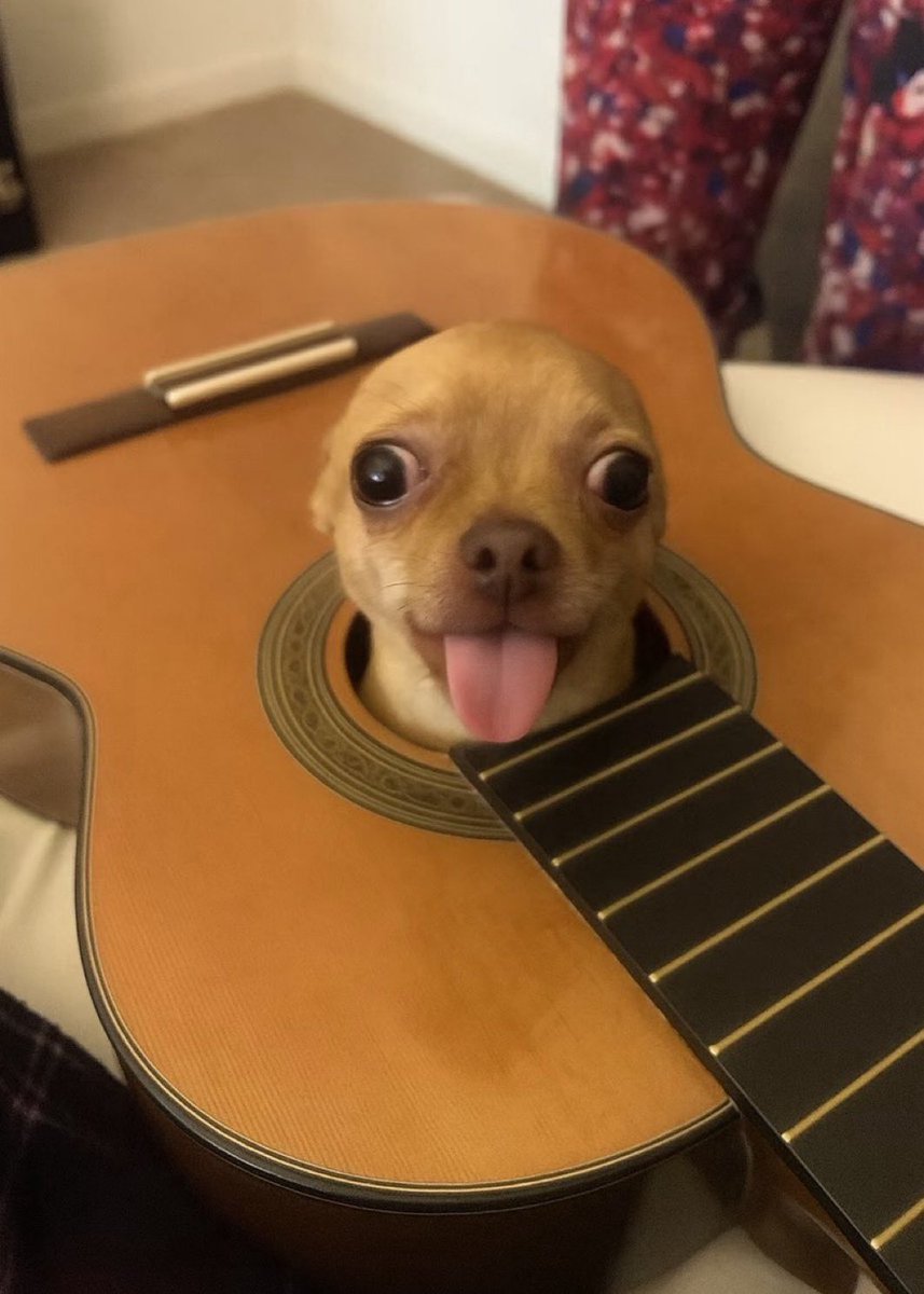 청산 TAT tweet media