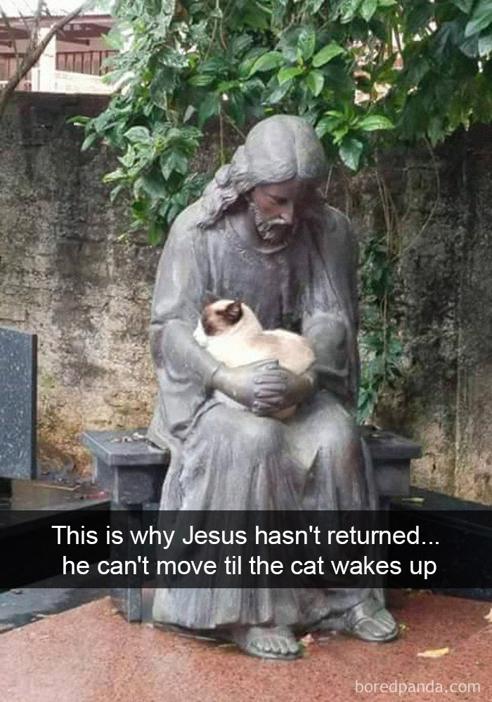 Gracie Ann/Princess Gracie the Gracious, 31st PODT tweet media