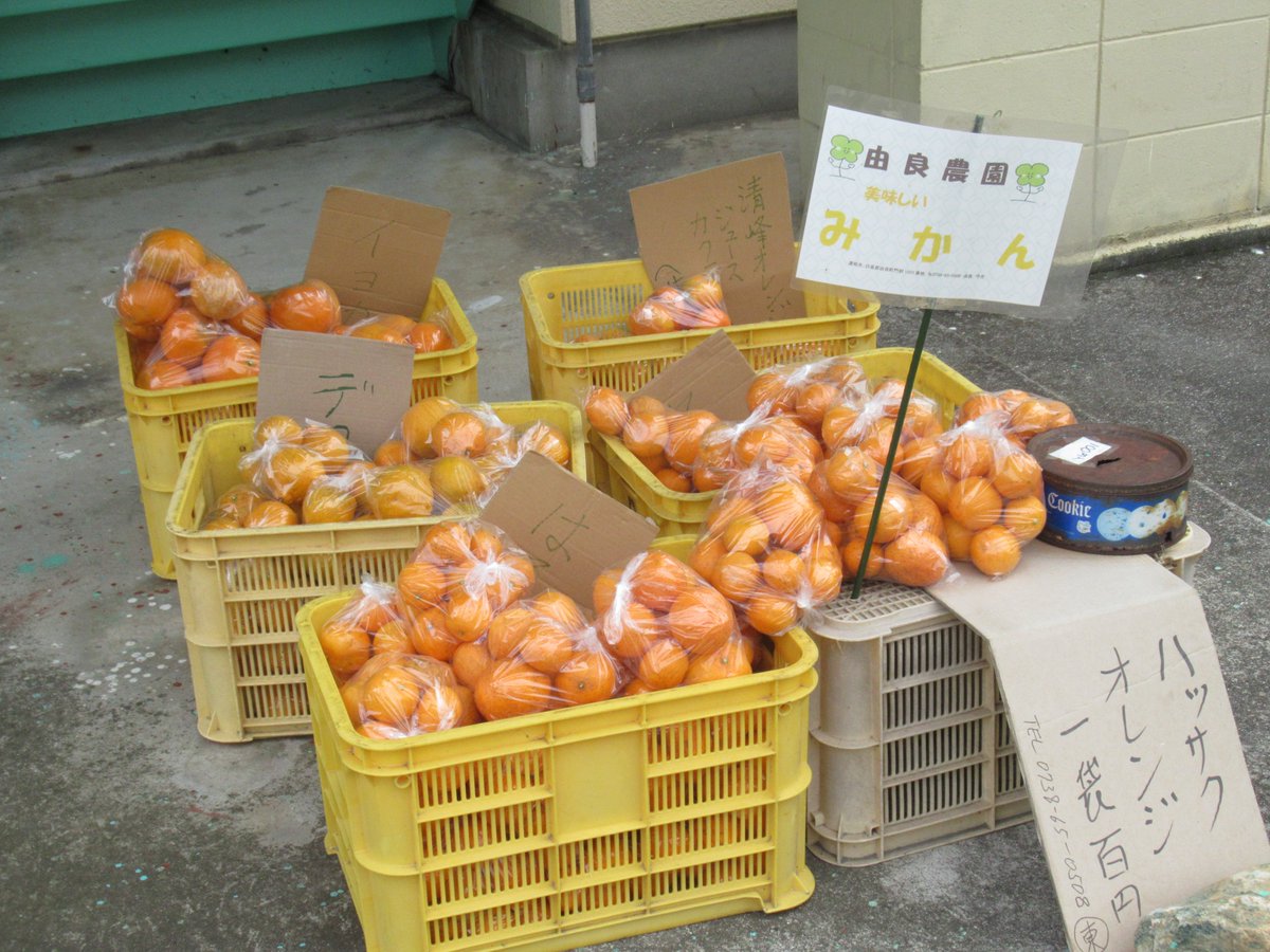 由良 守生 tweet media