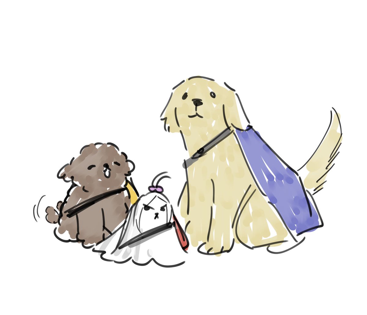 게임하는 당나귀 tweet media