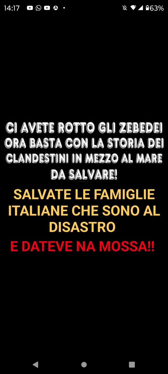 Gabriella tweet media