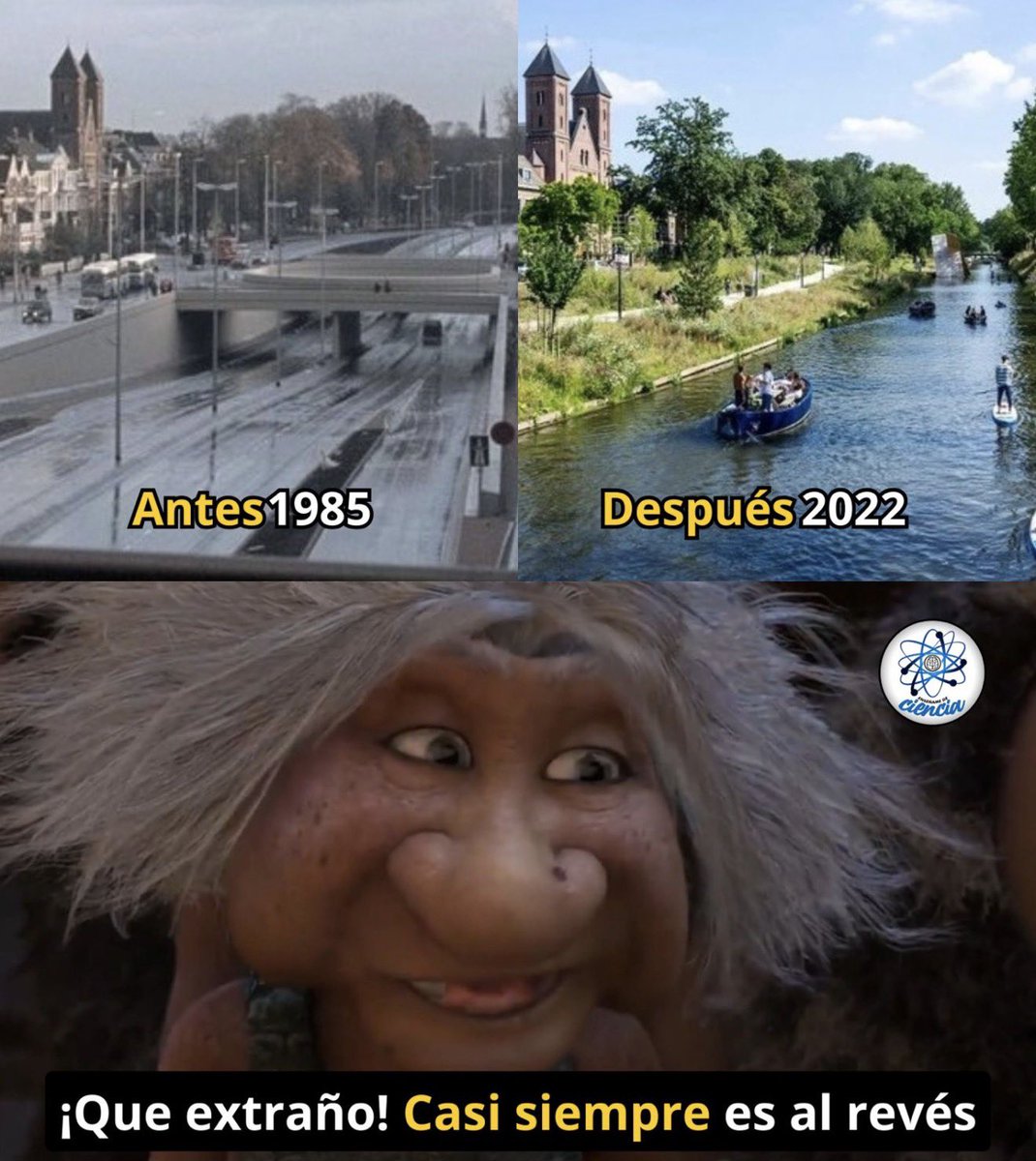 Enséñame de Ciencia tweet media