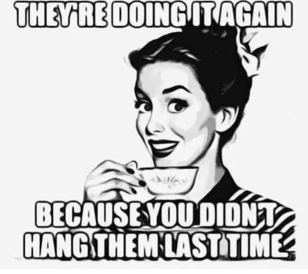 The Artist known as Jess tweet media