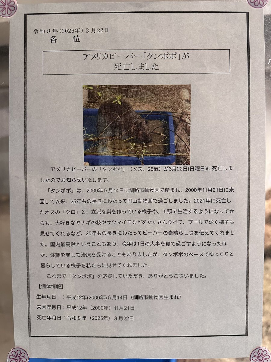 今はお知らせを共有するだけで精一杯です。

2023.3.23