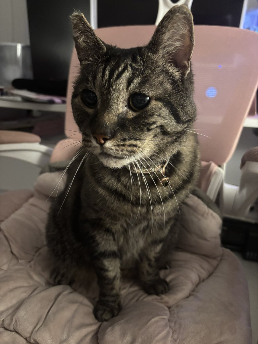 erin 🍓 tweet media