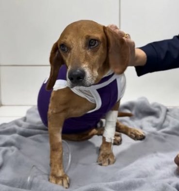 kaarolzx tweet media