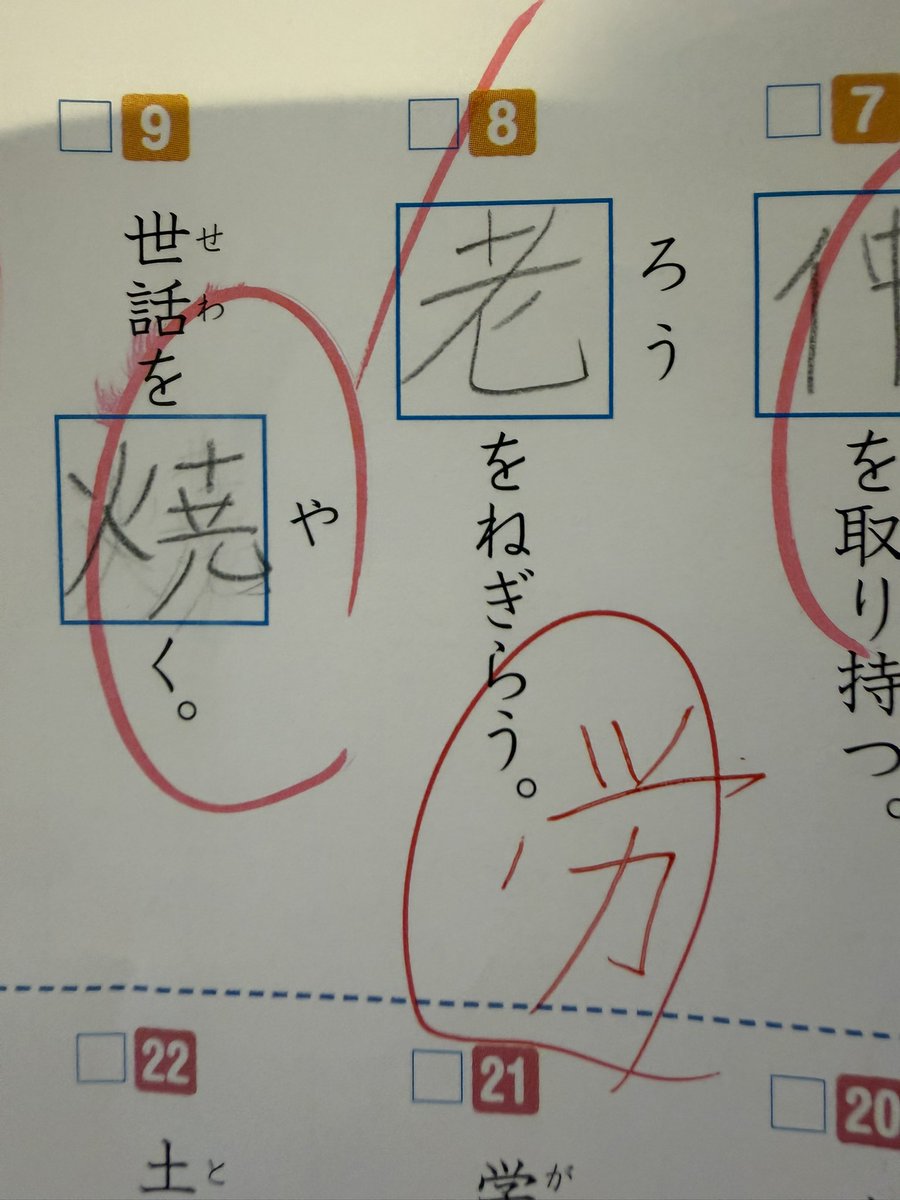 彩〜Aya〜🦜 tweet media