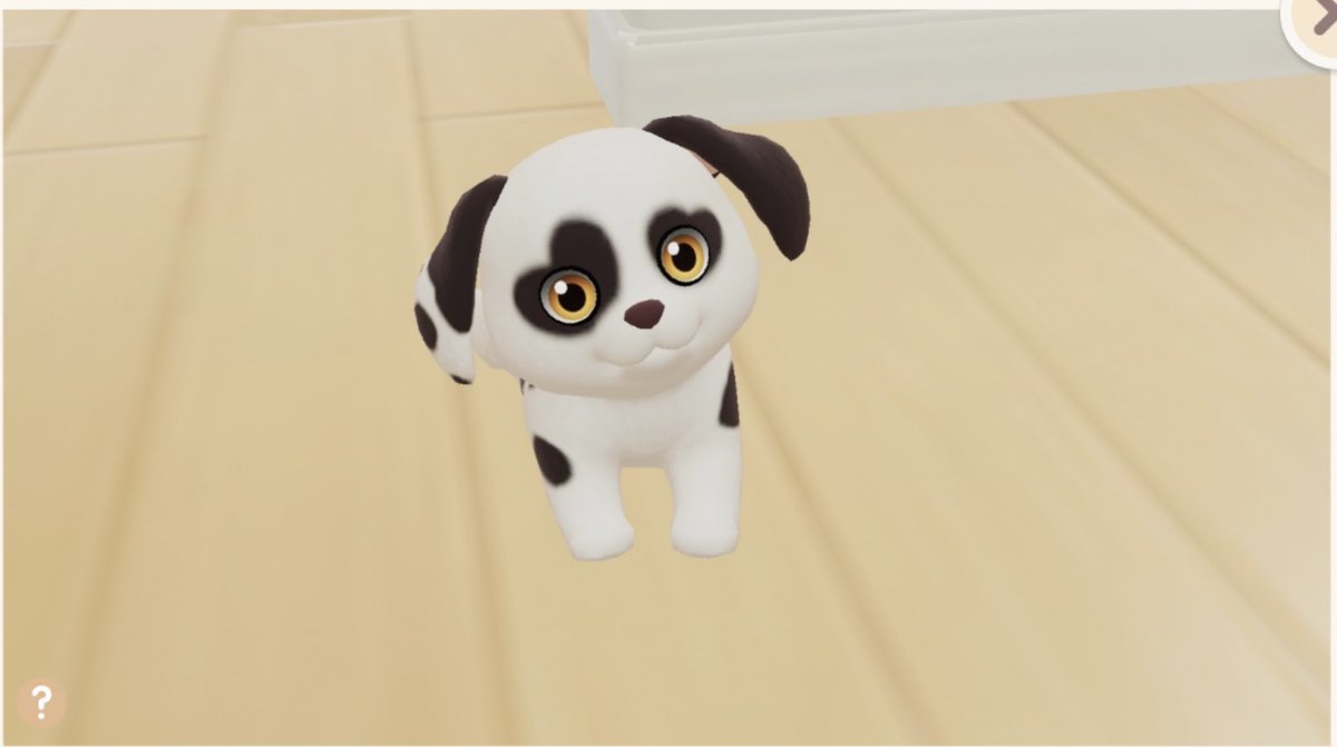ぬぁーーー(´；ω；｀) この子レアわんこちゃんだよね💦 わんこレベル1