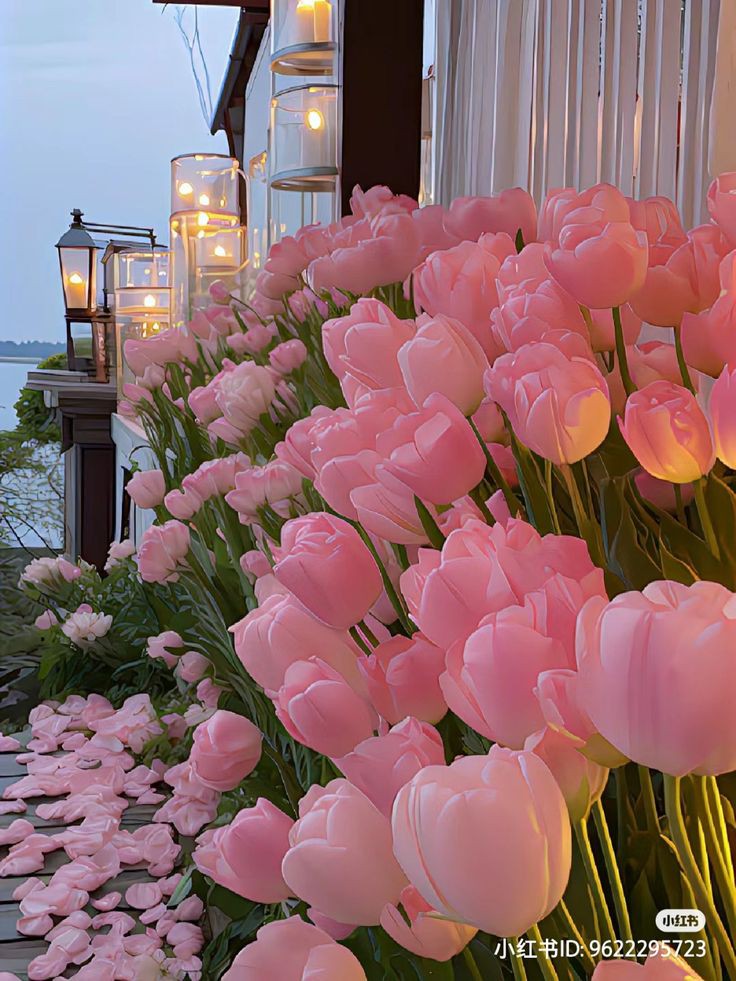 Tulips Library tweet media