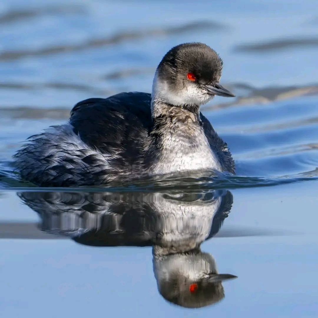 Hatay Söz Gazetesi tweet media