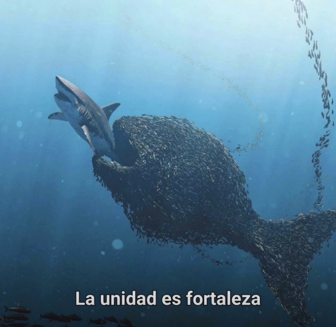 Ana María Vélez tweet media