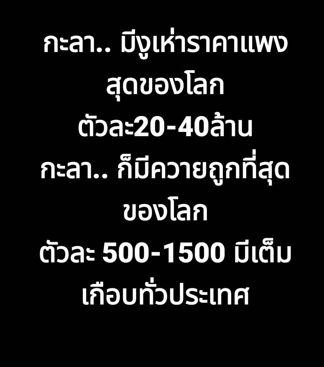 อีกหนึ่ง ทัศนคติ tweet media