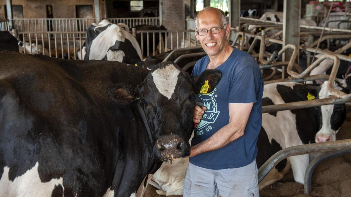 De Telegraaf tweet media