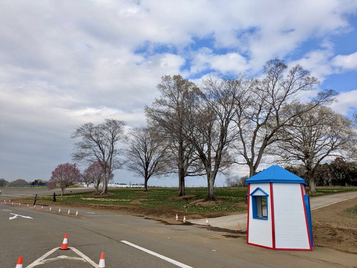 東京ドイツ村 tweet media