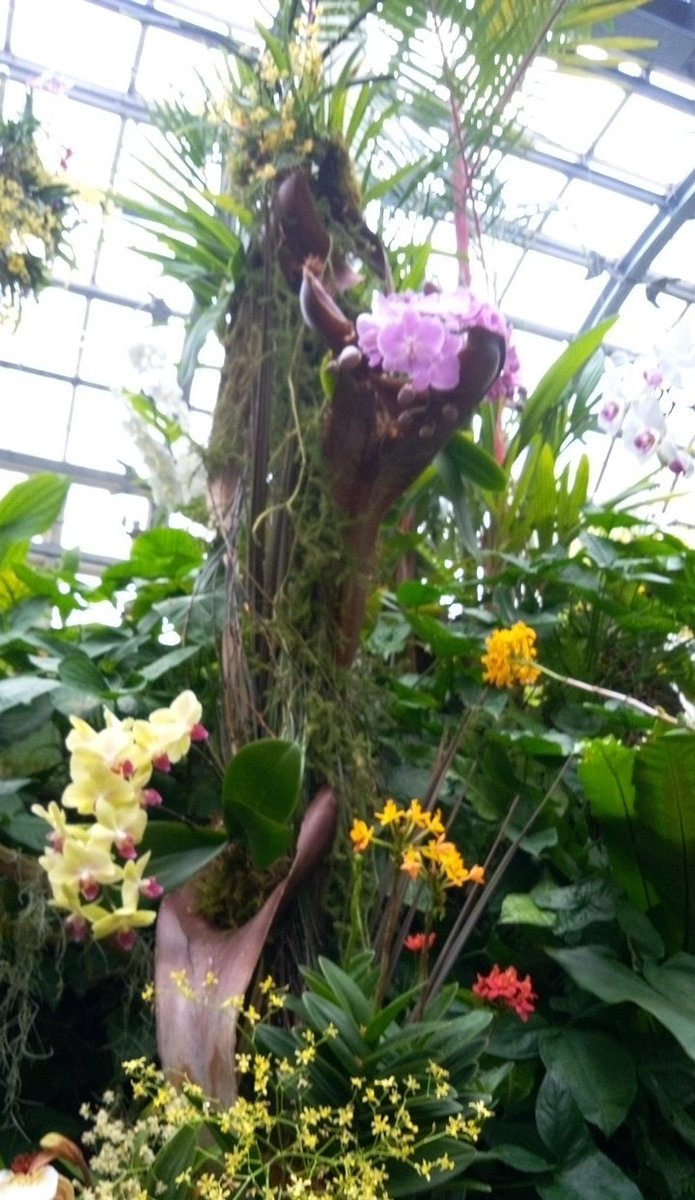 りんご tweet media