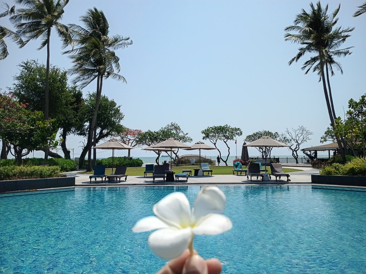 P_&_C couple tweet media