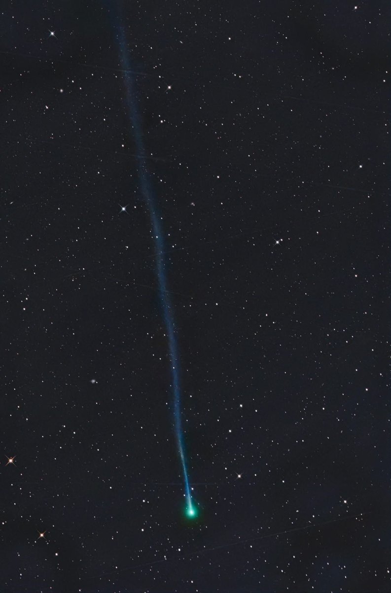 Con Stoitsis tweet media