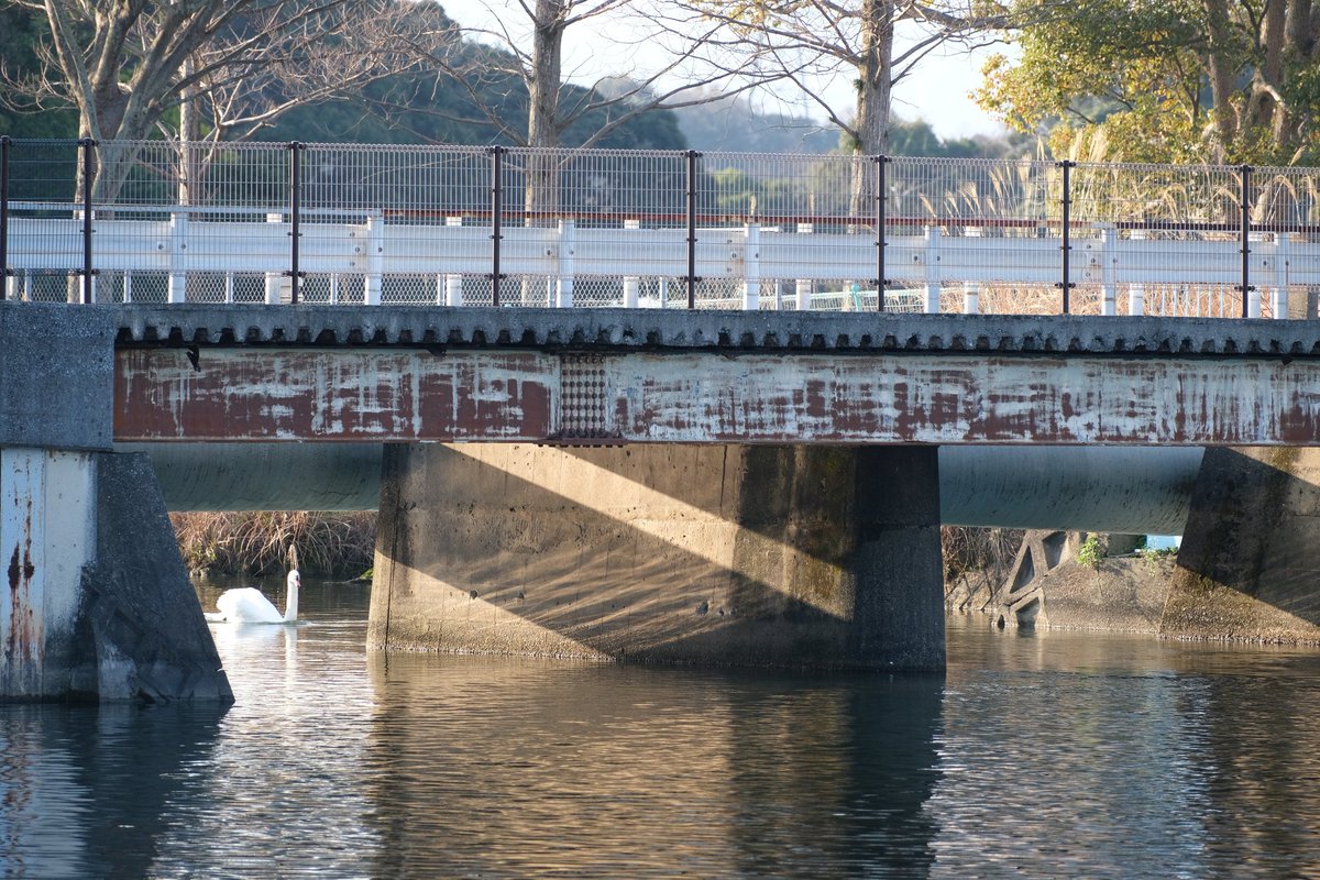 ピクチャーシェル tweet media