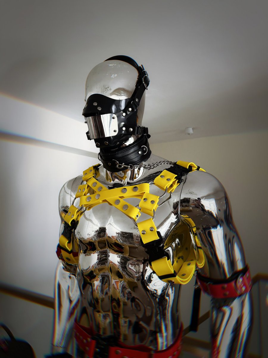 林木有鱼 tweet media