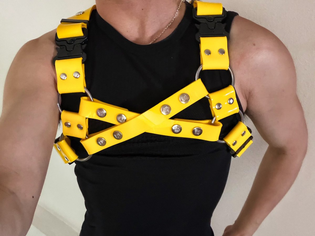 林木有鱼 tweet media